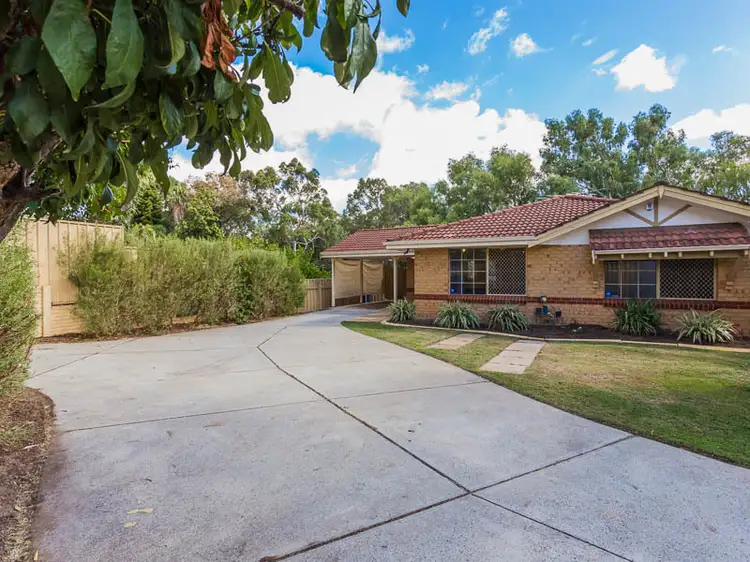 Third view of Homely house listing, 13 Albizia Close, Forrestfield WA 6058