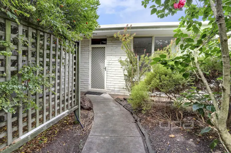 3/17 Napier Street, Rye VIC 3941