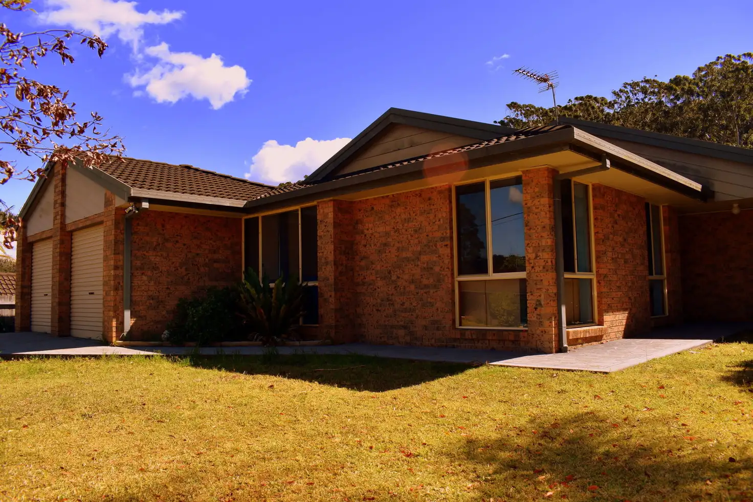 Main view of Homely house listing, 16 Red Cedar Close, Ourimbah NSW 2258