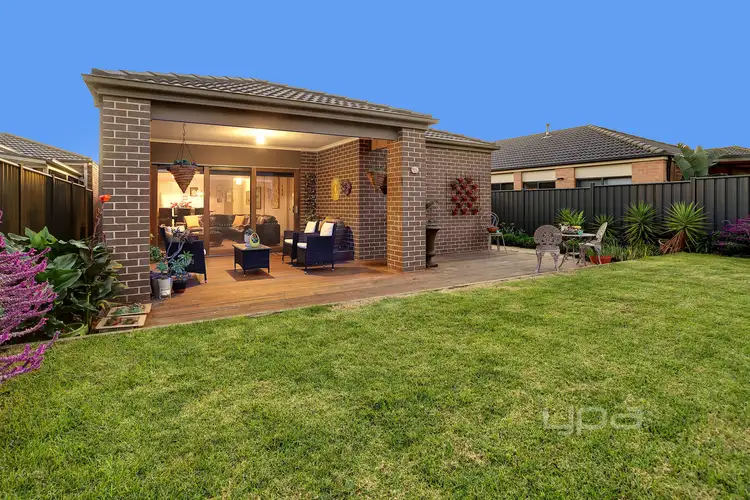 6 Gladiolus Circuit, Cranbourne North VIC 3977