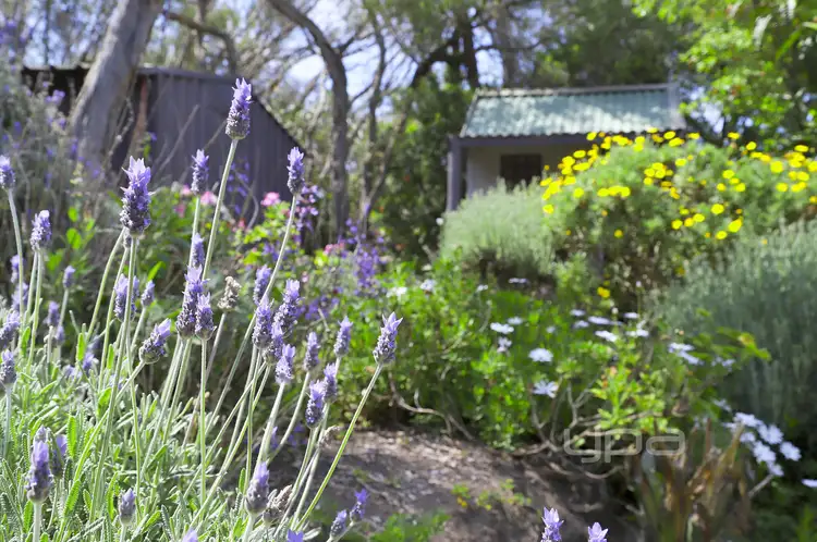 Third view of Homely house listing, 70 Landra Street, Rye VIC 3941