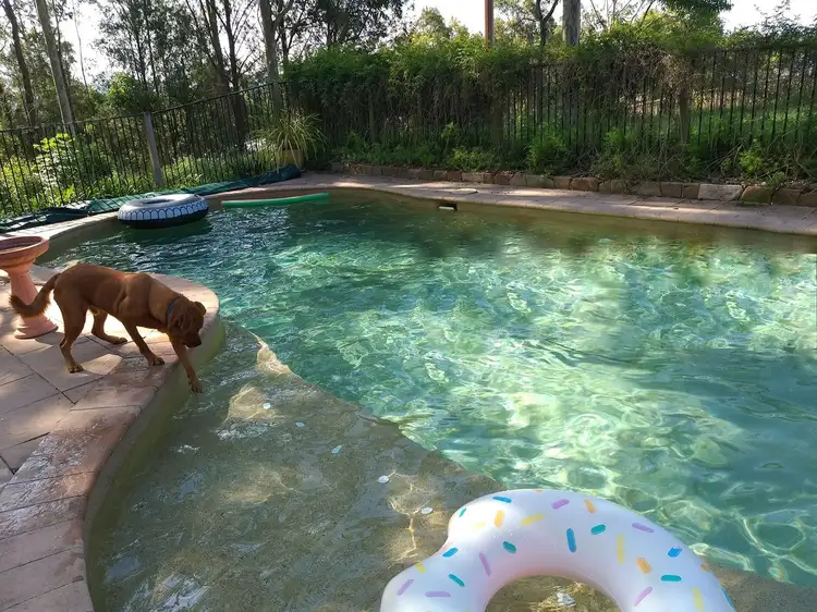 Second view of Homely house listing, 16 Forster Avenue, Watanobbi NSW 2259