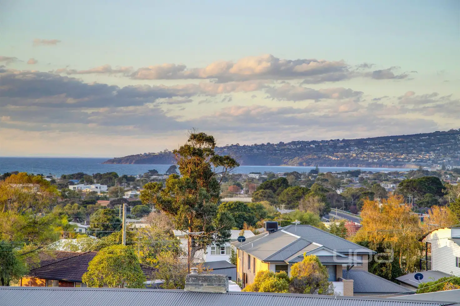 Main view of Homely house listing, 8 Panoramic Avenue, Dromana VIC 3936