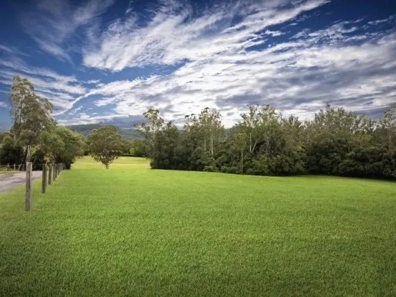 Main view of Homely land listing, 36 Phil Tunks Road, Lemon Tree NSW 2259