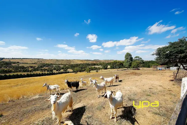 Sixth view of Homely rural property listing, 450 Wildwood Road, Wildwood VIC 3429