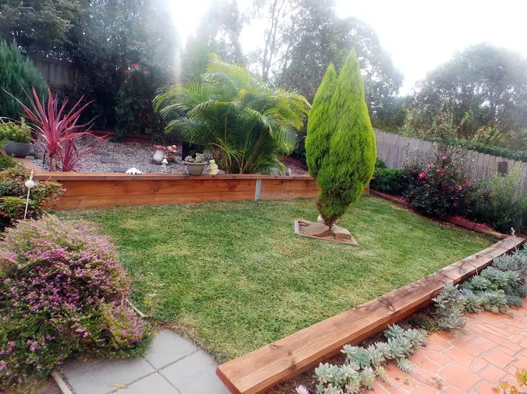Main view of Homely house listing, 206 Woodbury Park Drive, Mardi NSW 2259