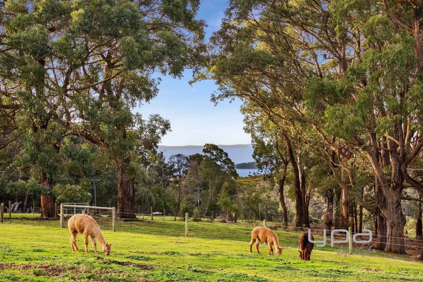 Main view of Homely rural property listing, 336 Arthurs Seat Road, Red Hill VIC 3937