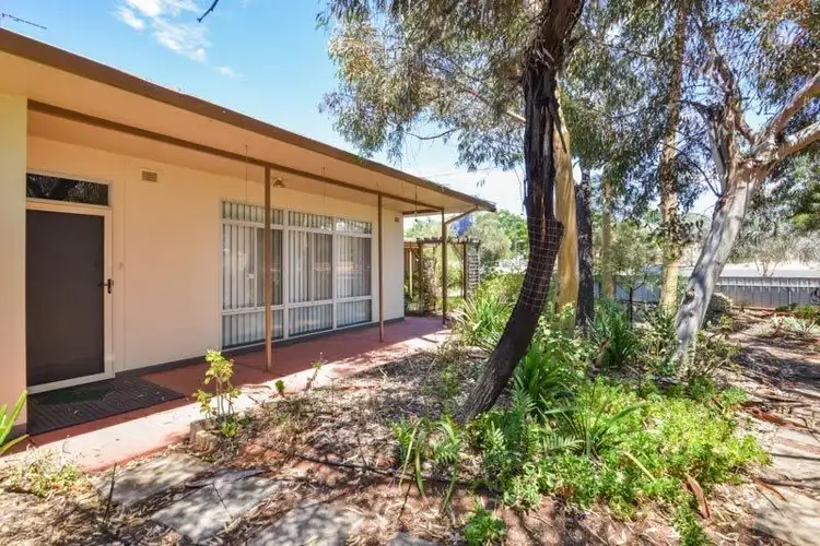 Main view of Homely house listing, 51 Lewis Street, Lamington WA 6430
