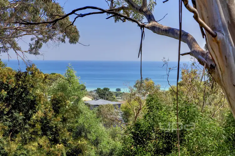 Third view of Homely house listing, 42 Jackson Way, Dromana VIC 3936
