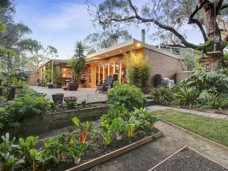 Main view of Homely house listing, 19 Fenton Avenue, Rosebud VIC 3939