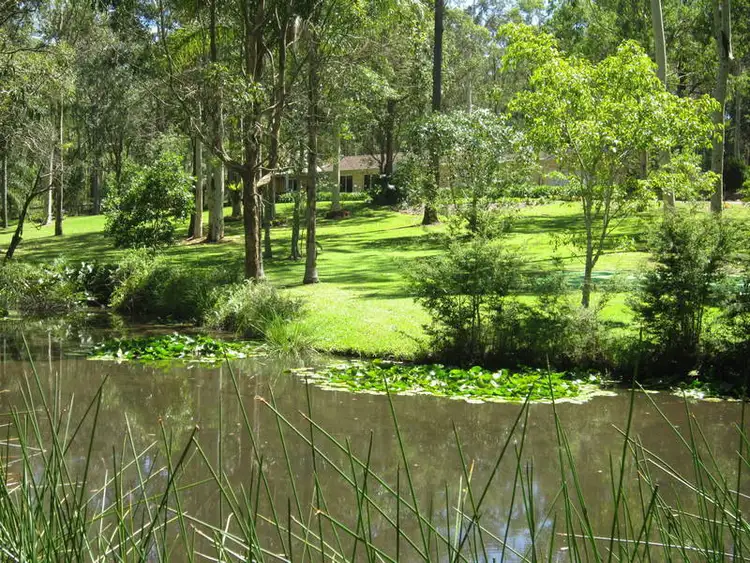 Third view of Homely rural property listing, 8 Francis Byrnes Rd, Jilliby NSW 2259