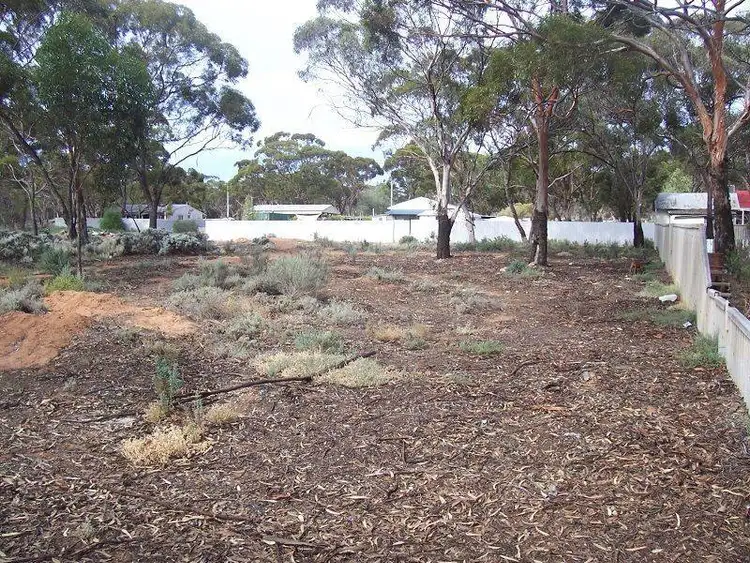 Seventh view of Homely land listing, 6 Prinsep Street, Norseman WA 6443