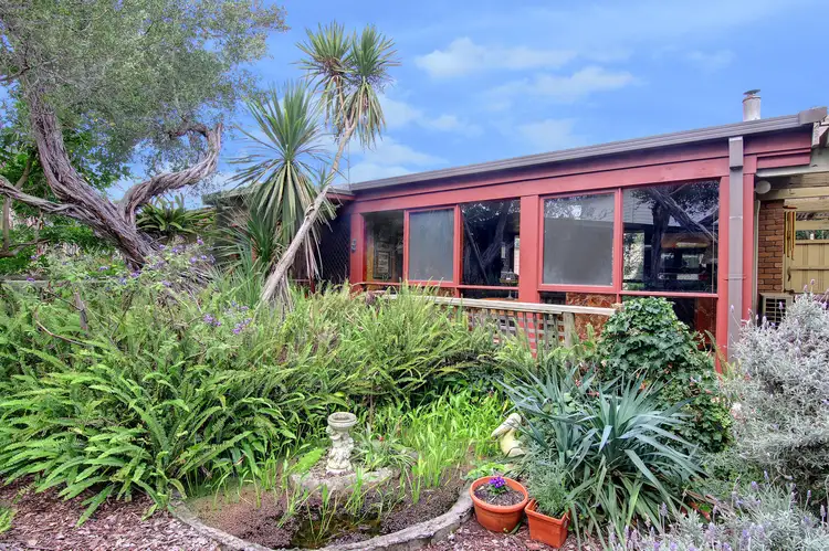 10 Riatta Court, Rye VIC 3941