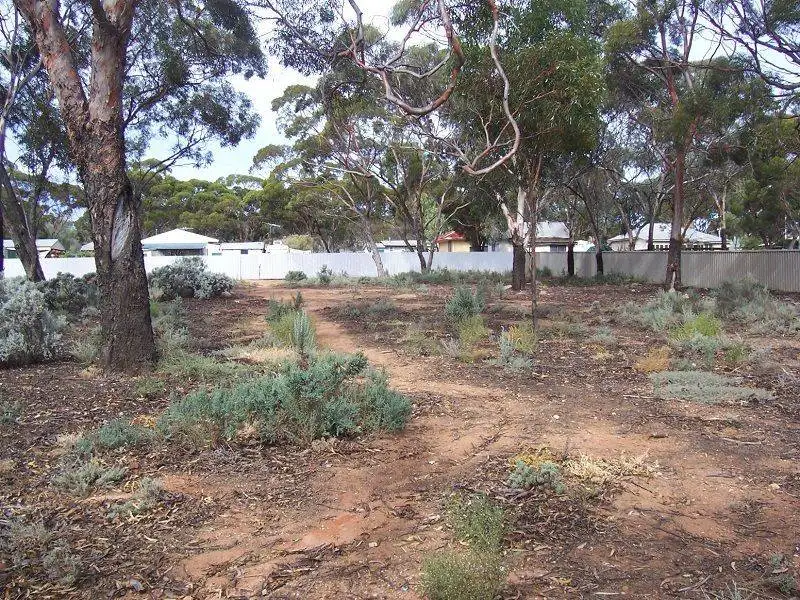 Main view of Homely land listing, 6 Prinsep Street, Norseman WA 6443