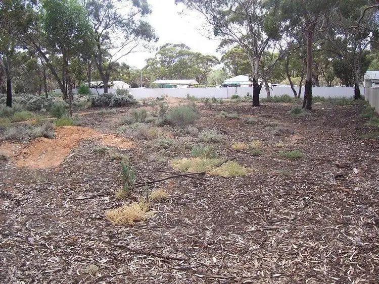 Sixth view of Homely land listing, 6 Prinsep Street, Norseman WA 6443