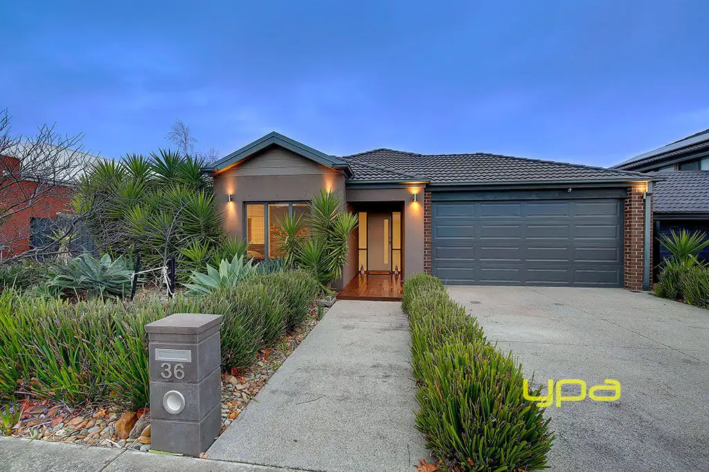 Main view of Homely house listing, 36 Domain Drive, Hillside VIC 3037