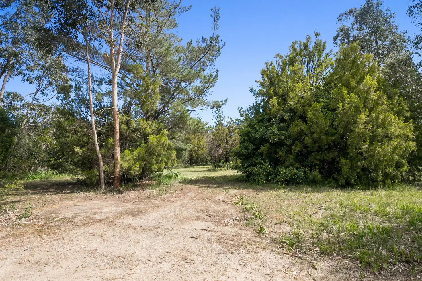 4 Osborne Avenue, Bittern, VIC 3918, 0房, 0浴, Section